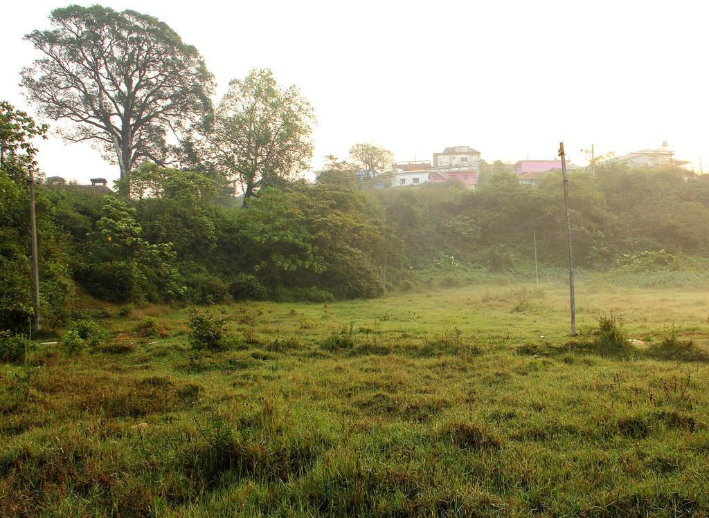 Coorg Rahul Villa マディケーリ エクステリア 写真